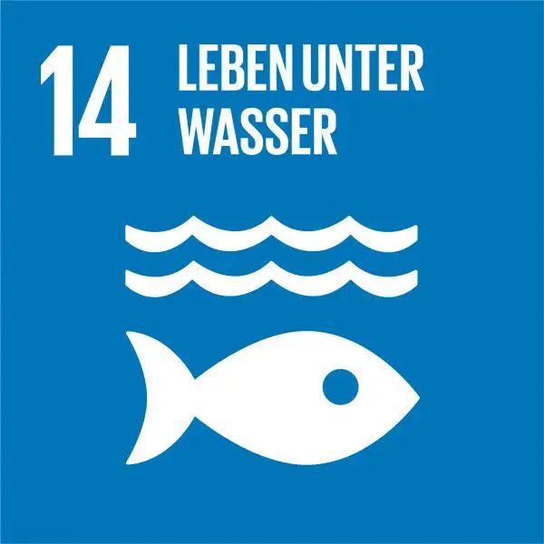sdg-14-Leben-unter-Wasser